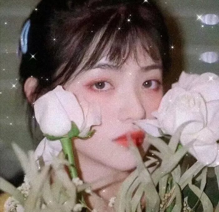 红妆2011